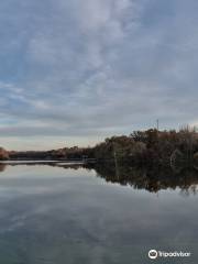 Lake Remembrance