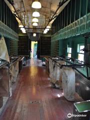 Cody Park Railroad Museum