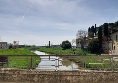 Via Francigena Tappa 29 Altopascio-San Miniato