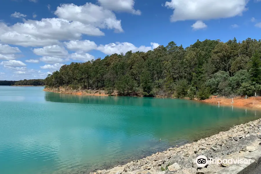 Logue Brook Dam