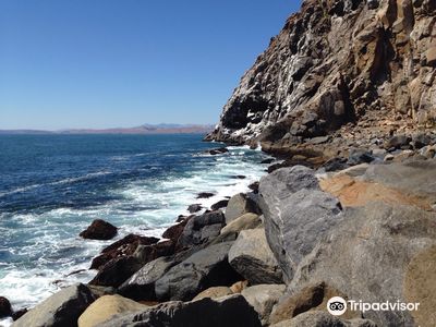 Morro Rock