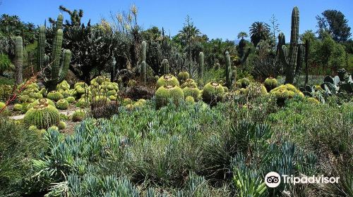 The Huntington Desert Garden