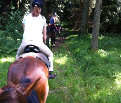 Reitschule Mosl