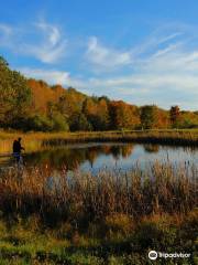 Tanglewood Nature Center & Museum