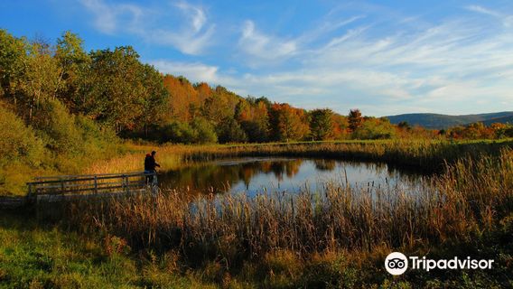 Tanglewood Nature Center
