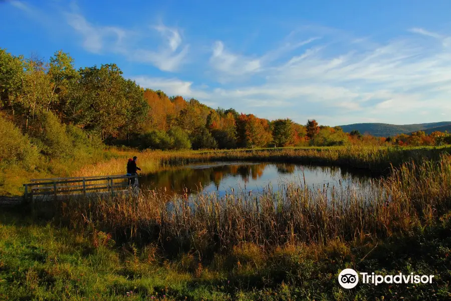 Tanglewood Nature Center