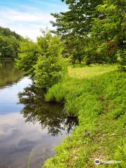 Baragi Lake