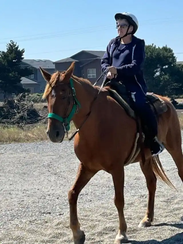 Hotels near Bandon Beach Riding Stables