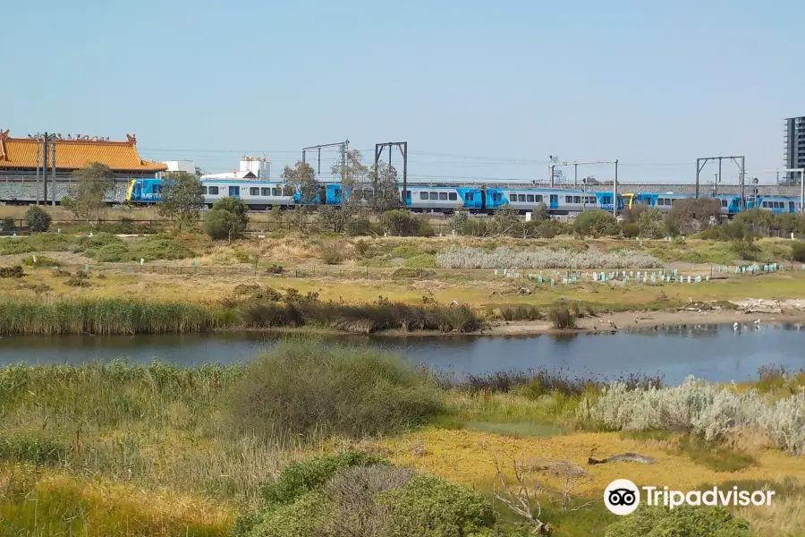 Newells Paddock Wetlands Reserve