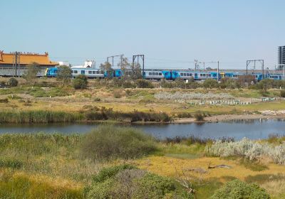 Newells Paddock Wetlands Reserve