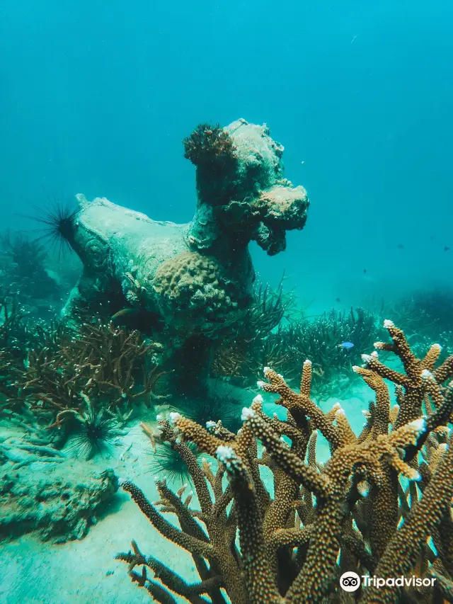 Diving in Koh Kood