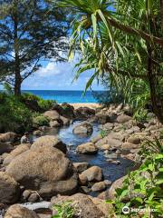 Hā'ena State Park