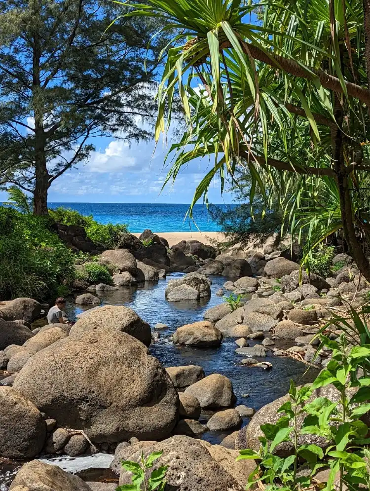 Hotel dekat Ha'ena State Park