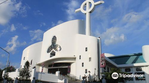 The Metropolitan Cathedral of the Immaculate Conception