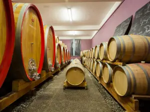 Franc Arman Winery