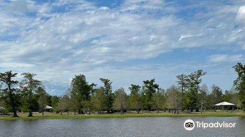 Bayou Segnette State Park