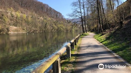 Treppelweg entlang der Traun