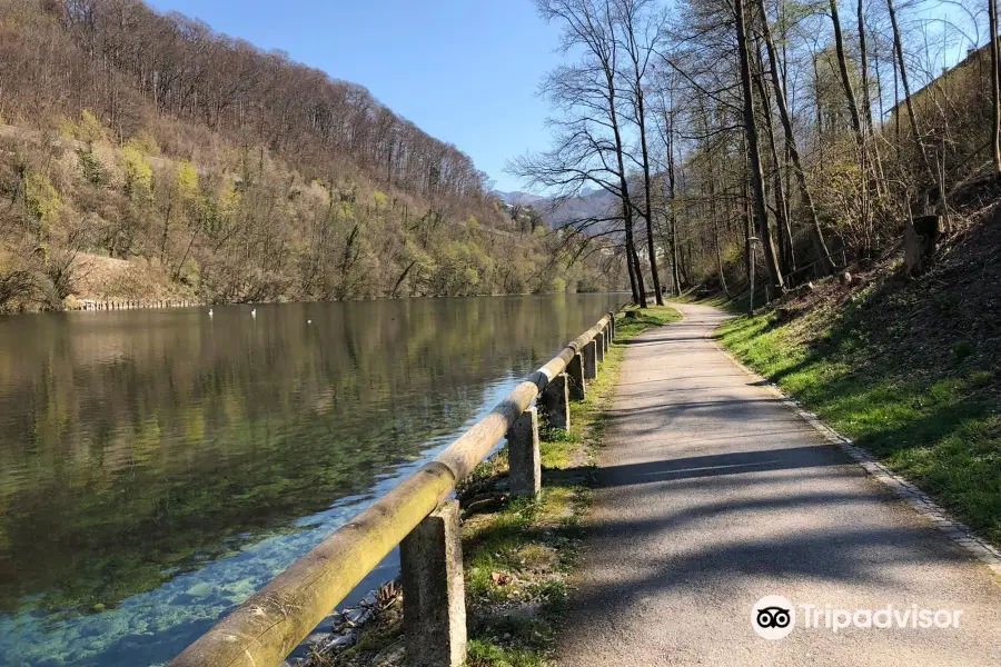 Treppelweg entlang der Traun