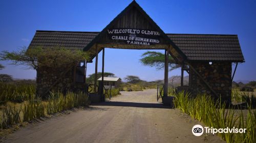 Olduvai Gorge Museum