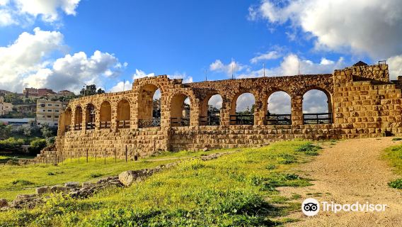 ميدان الخيول