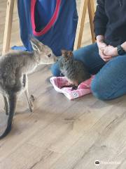 WARRNAMBOOL WILDLIFE ENCOUNTERS