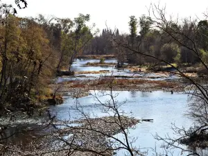 River Bend Park