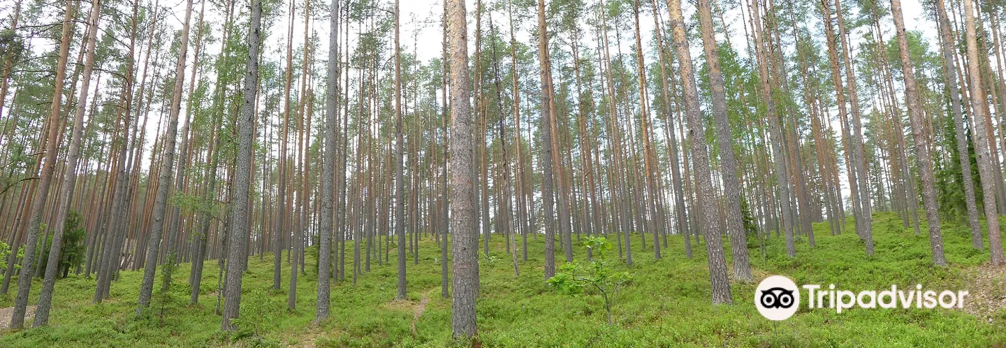 5_Gauja National Park