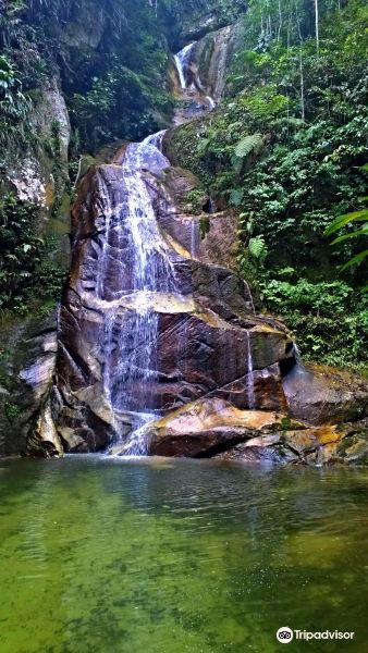 Tiket pesawat Tenerife Tarapoto