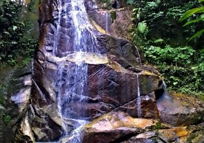 Tarapoto