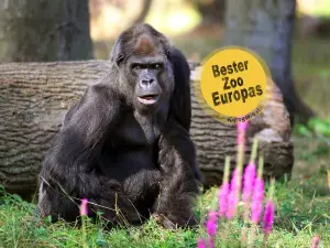 Zoo Rostock