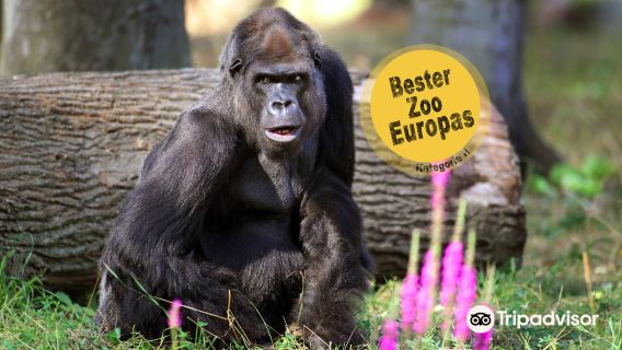 Rostock Zoo