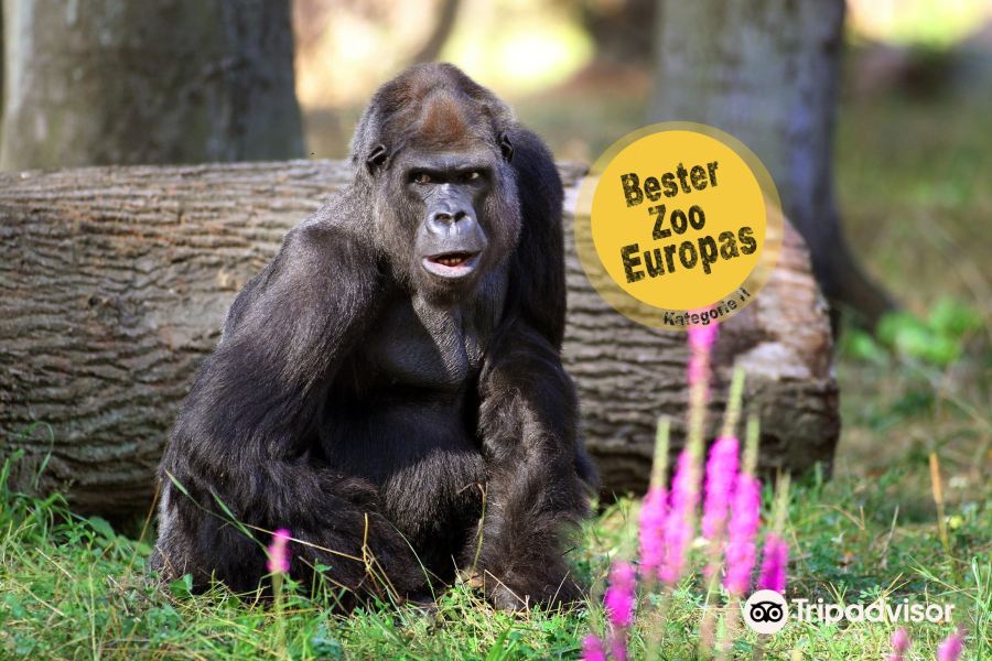Rostock Zoo