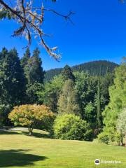 Eastwoodhill National Arboretum of NZ