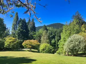 Eastwoodhill National Arboretum of NZ