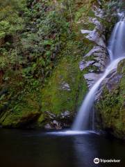 Dorothy Falls