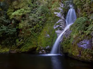 Dorothy Falls