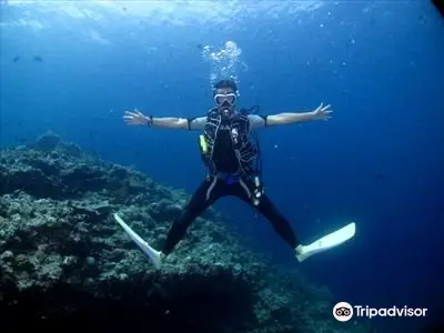 Scuba Diving in Naha