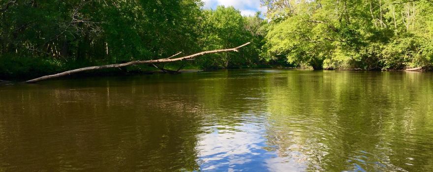 Pere Marquette River