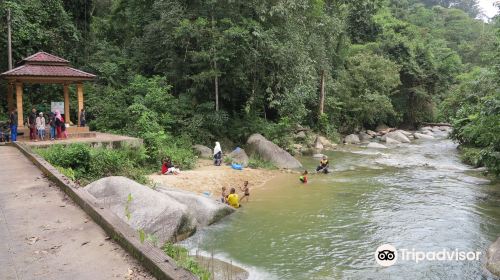 Burmese Pool