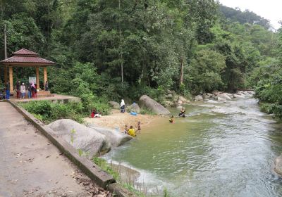 Burmese Pool