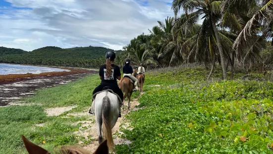 Ranch Anse Macabou