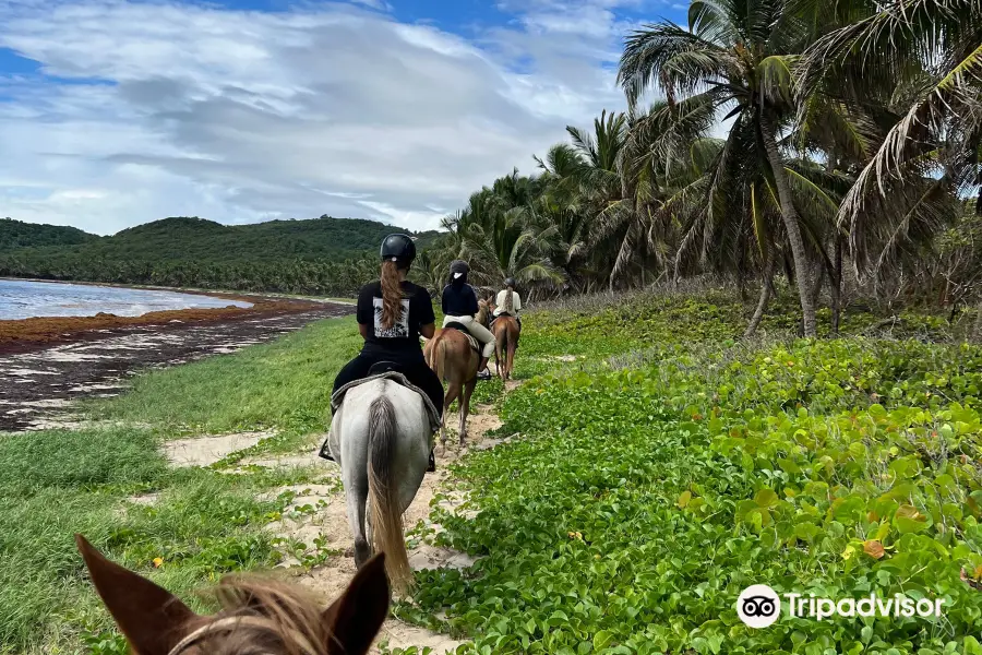 Ranch Anse Macabou