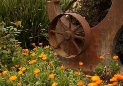 California Agriculture Museum