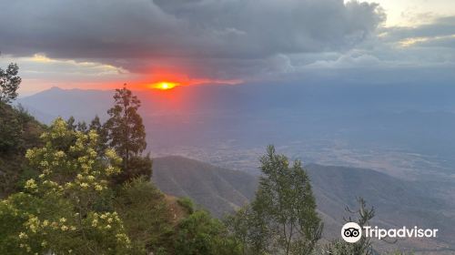 Usambara Mountains