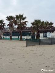 Ippo Beach Club Playa Privada