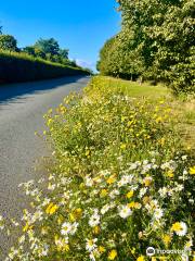 Aden Country Park