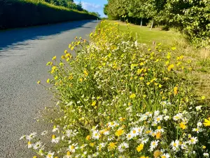 Aden Country Park