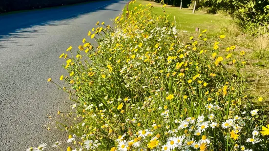 Aden Country Park