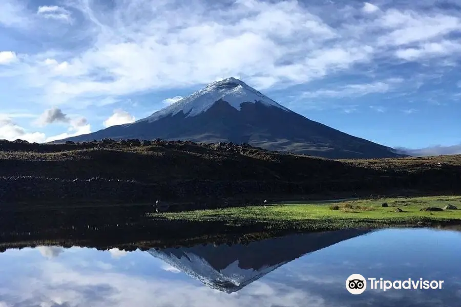 Cotopaxi National Park