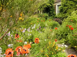 National Trust - Crook Hall Gardens